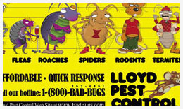 Lloyd Pest Control Mailer