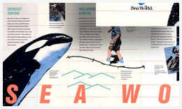 Sea World Brochure Design