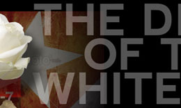 Book Title Promotional Material